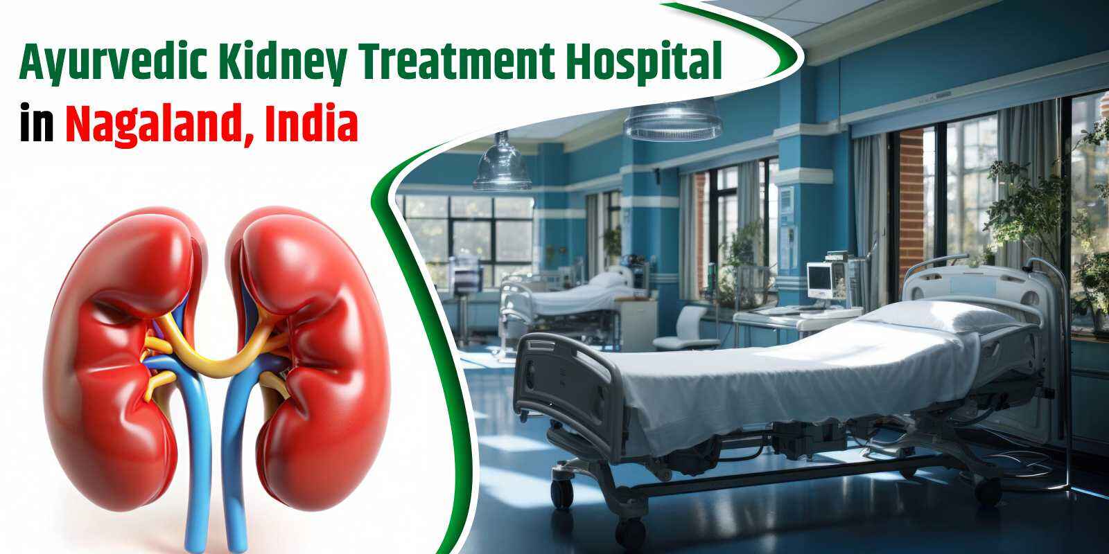 Ayurvedic Kidney Treatment Hospital in Nagaland, India